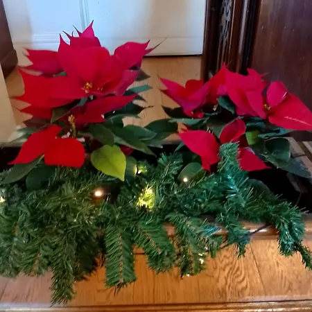 Artistic House Bed and Breakfast