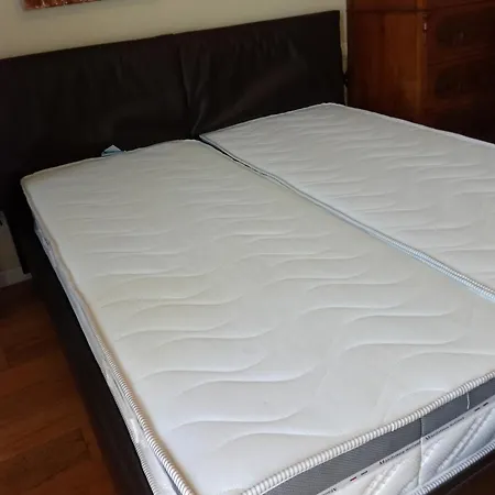 Artistic House Bed and Breakfast