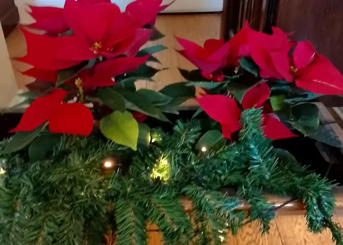 Artistic House Bed & Breakfast