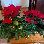 Artistic House Bed & Breakfast