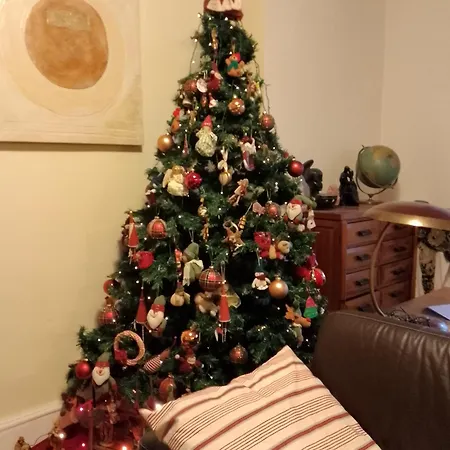 Artistic House B&B 바리